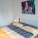 Apartament Lipno 1 *