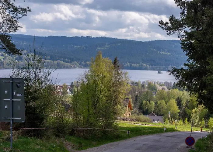 Lipno 1 Apartment
